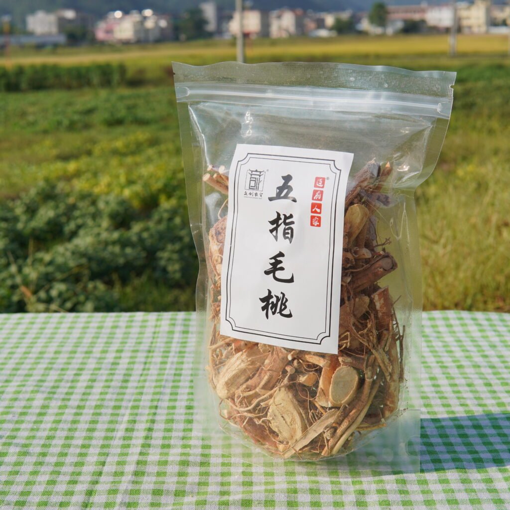 五指毛桃