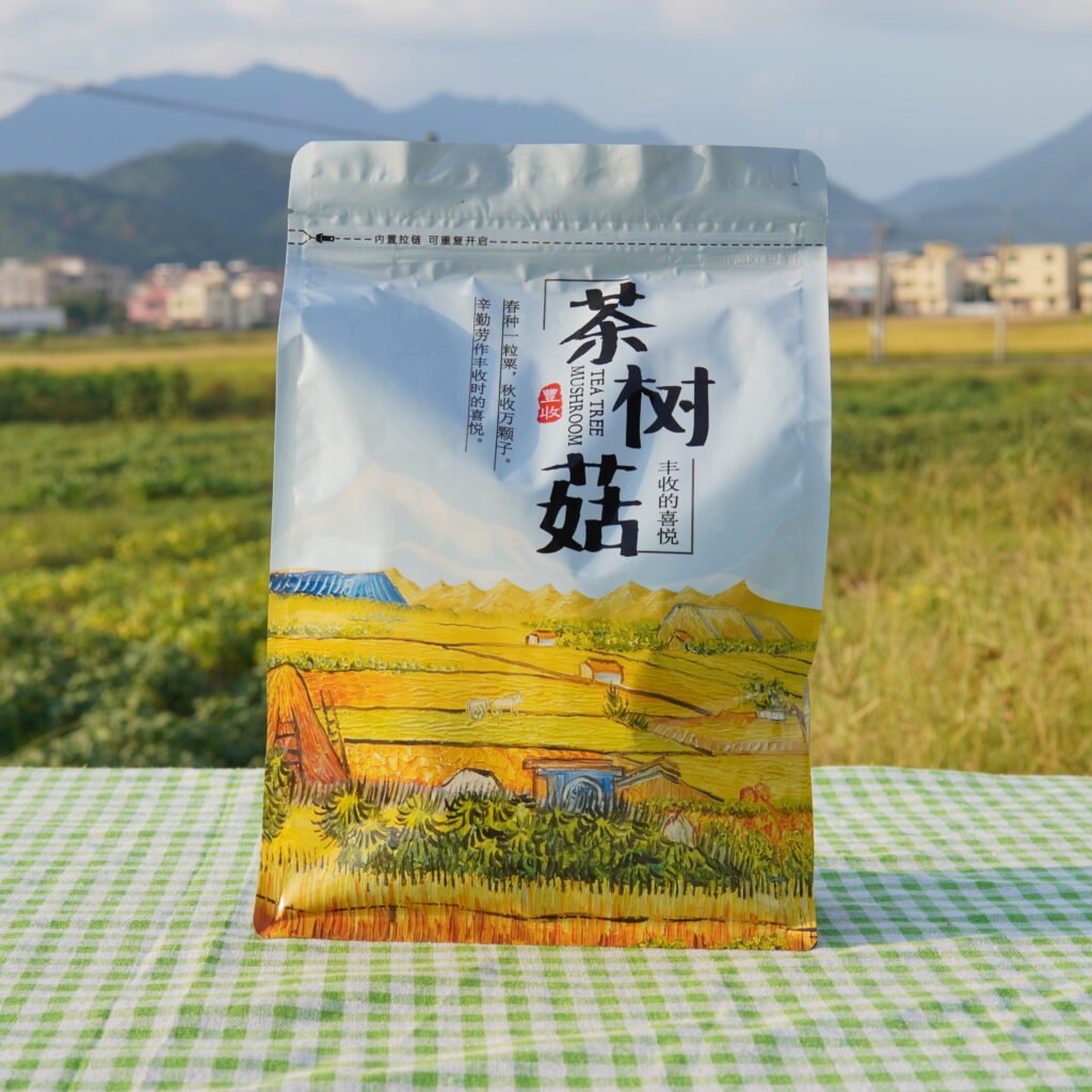 茶樹菇